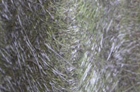 Somerford fibreglass roof work